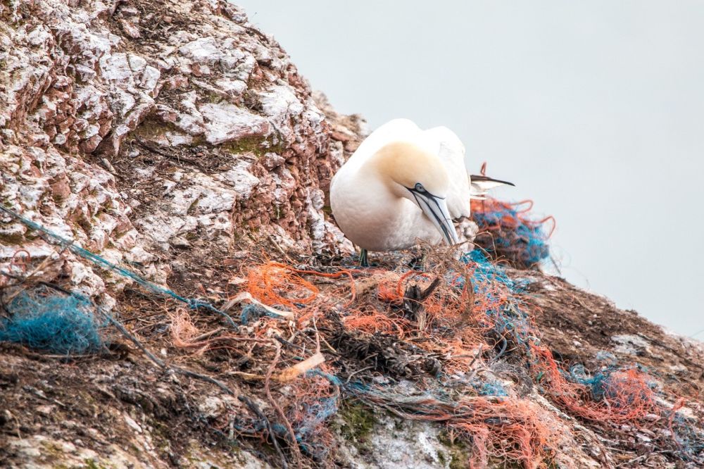 Elimination totale des déchets organiques